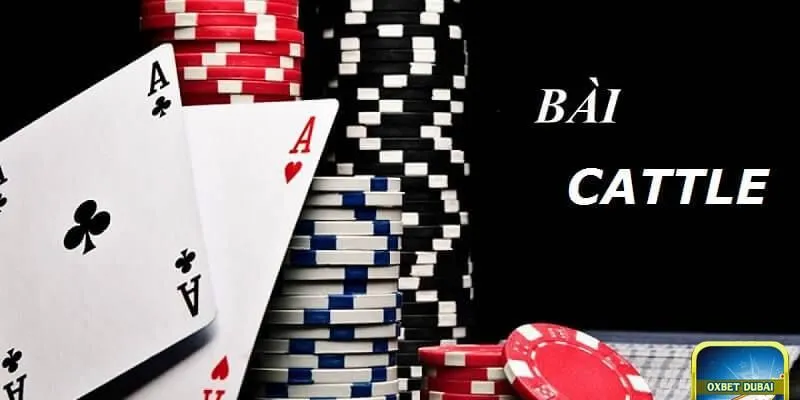 Tìm hiểu về luật chơi cơ bản và cách chơi bài Catte